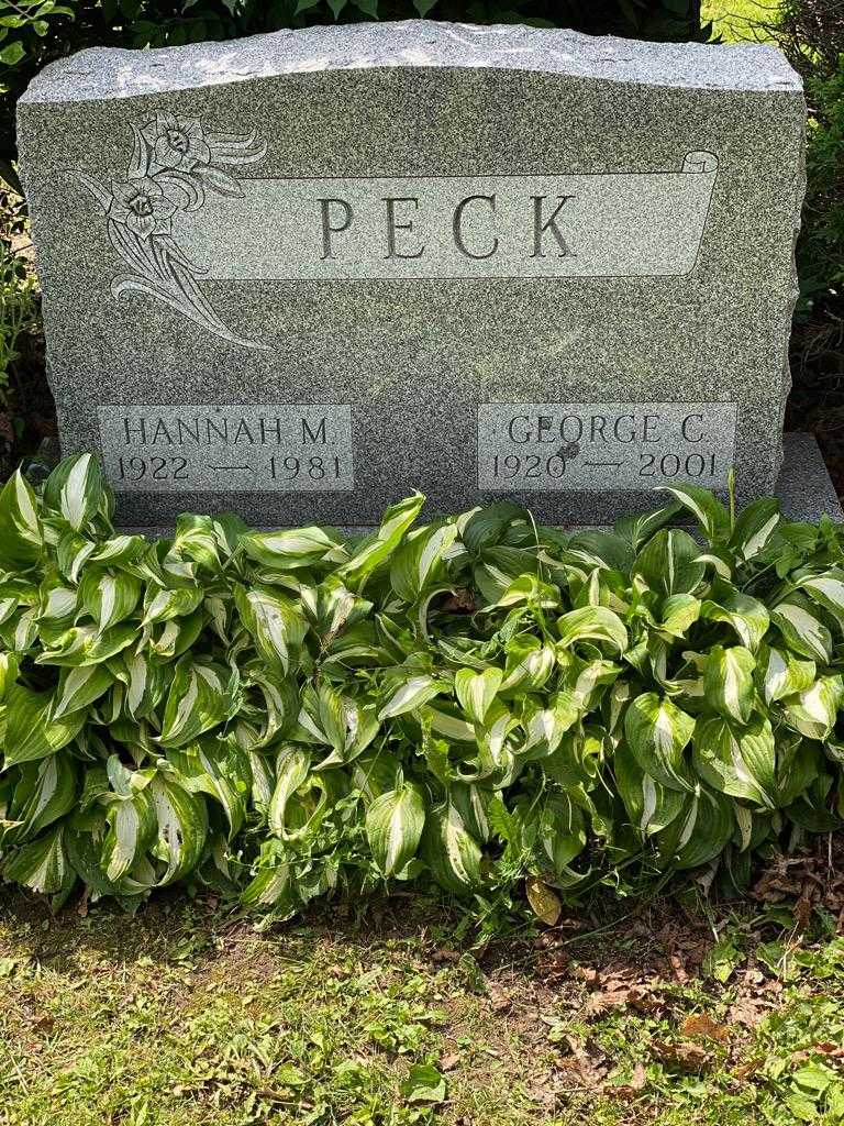 Hannah M. Peck's grave. Photo 3