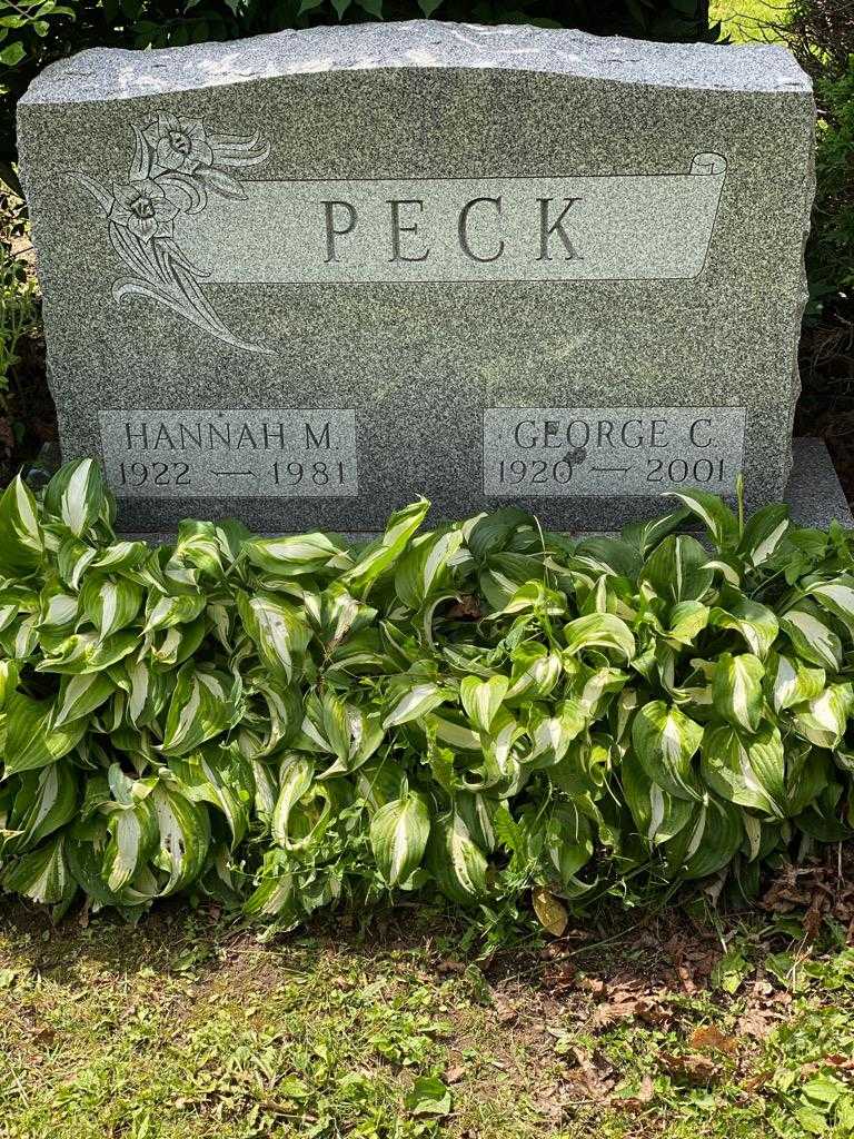 George C. Peck's grave. Photo 3