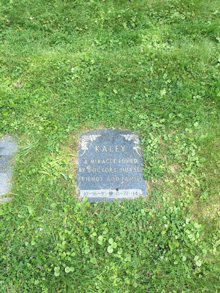 Kaley Bordonaro's grave. Photo 2