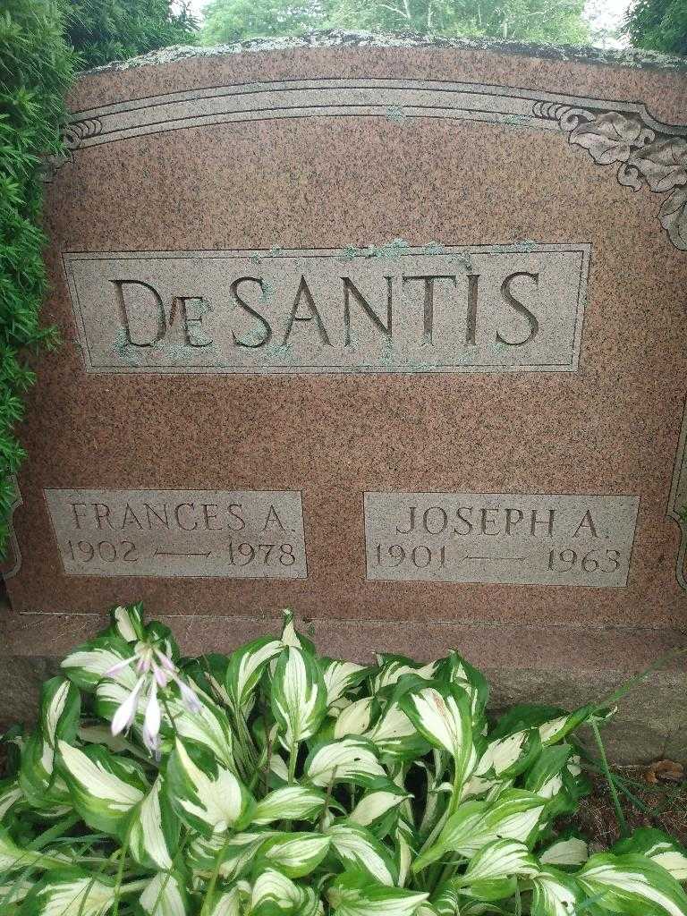 Joseph A. De Santis's grave. Photo 2