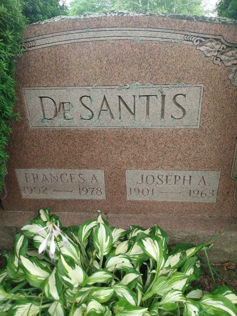 Frances A. De Santis's grave. Photo 2