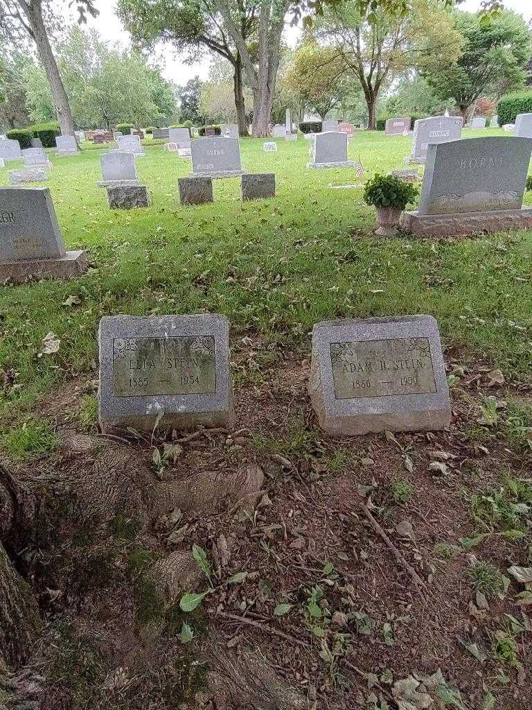 Ella Stein's grave. Photo 1