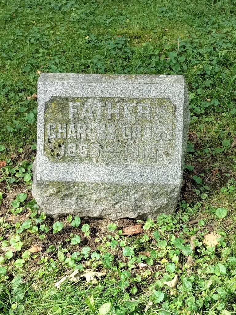 Charles J. Gross's grave. Photo 2