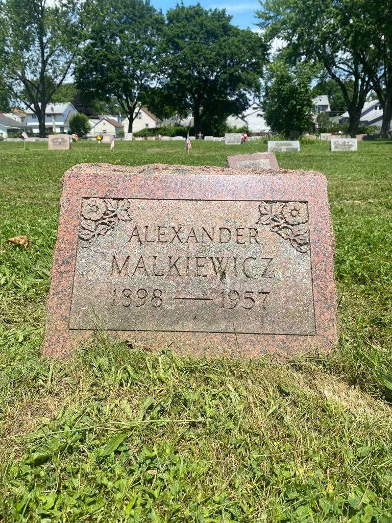 Alexander Malkiewicz's grave. Photo 3