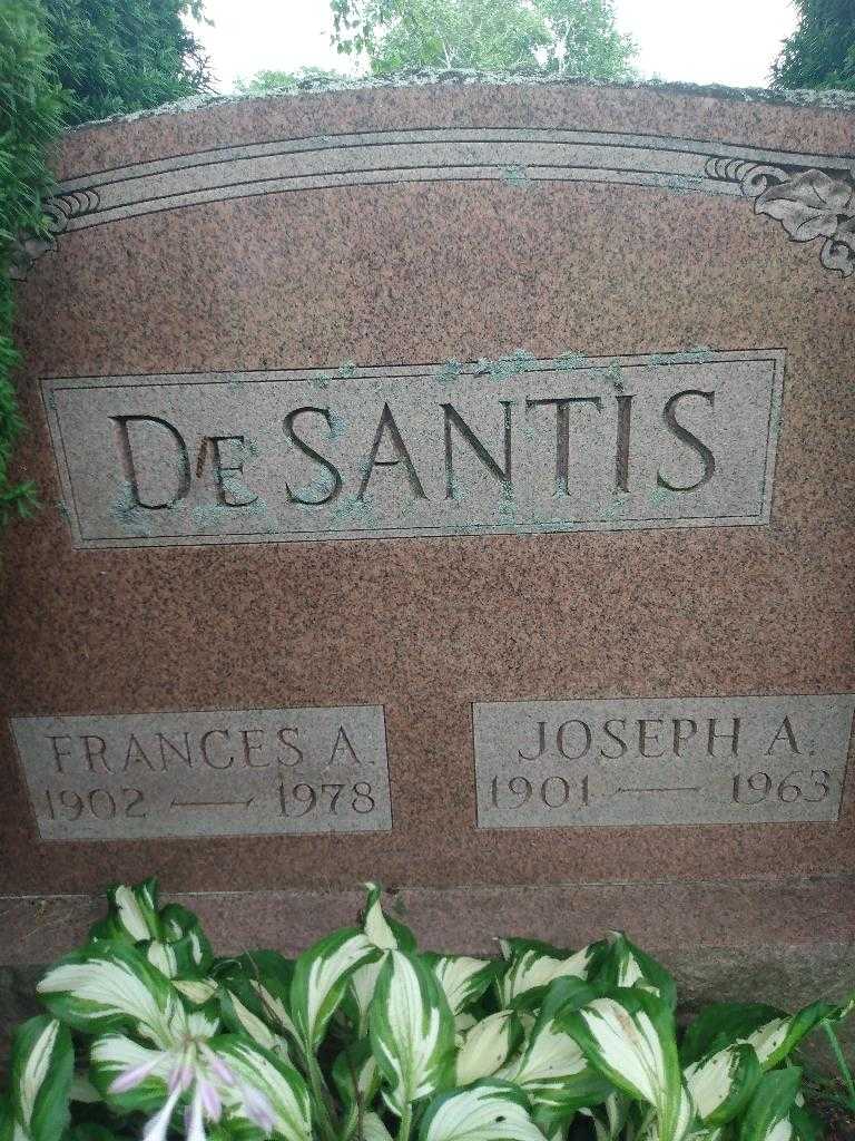 Frances A. De Santis's grave. Photo 3