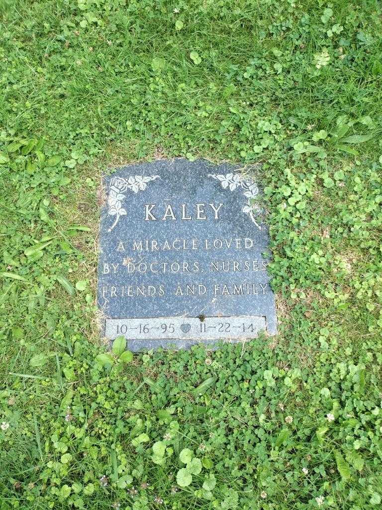 Kaley Bordonaro's grave. Photo 3