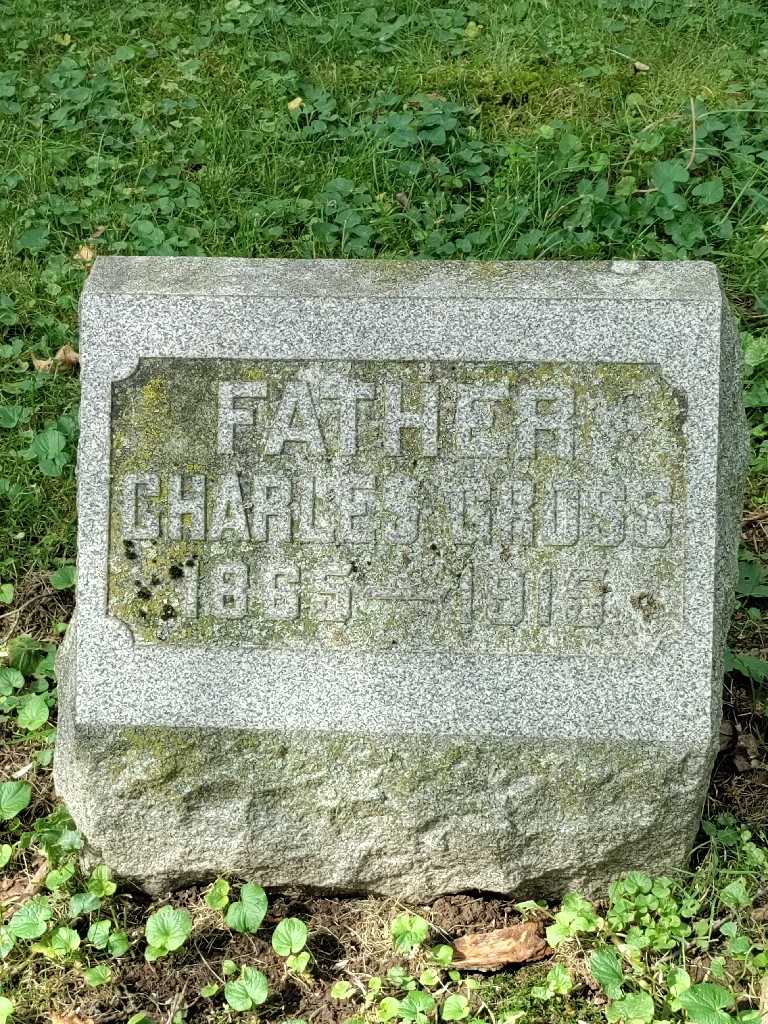 Charles J. Gross's grave. Photo 3