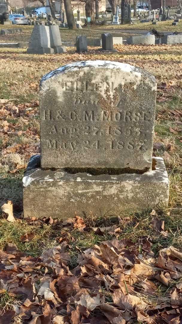 Elizabeth D. Morse's grave. Photo 1