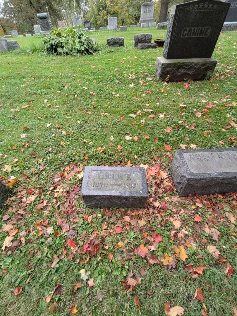Lucius F. Conine's grave. Photo 1