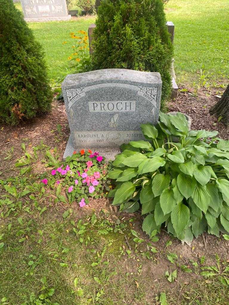 Karoline A. Proch's grave. Photo 1