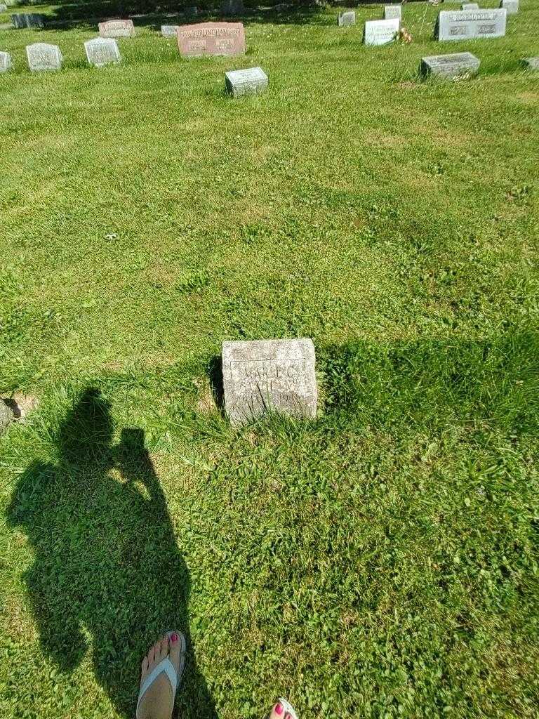 Laura Ann Casolare's grave. Photo 1