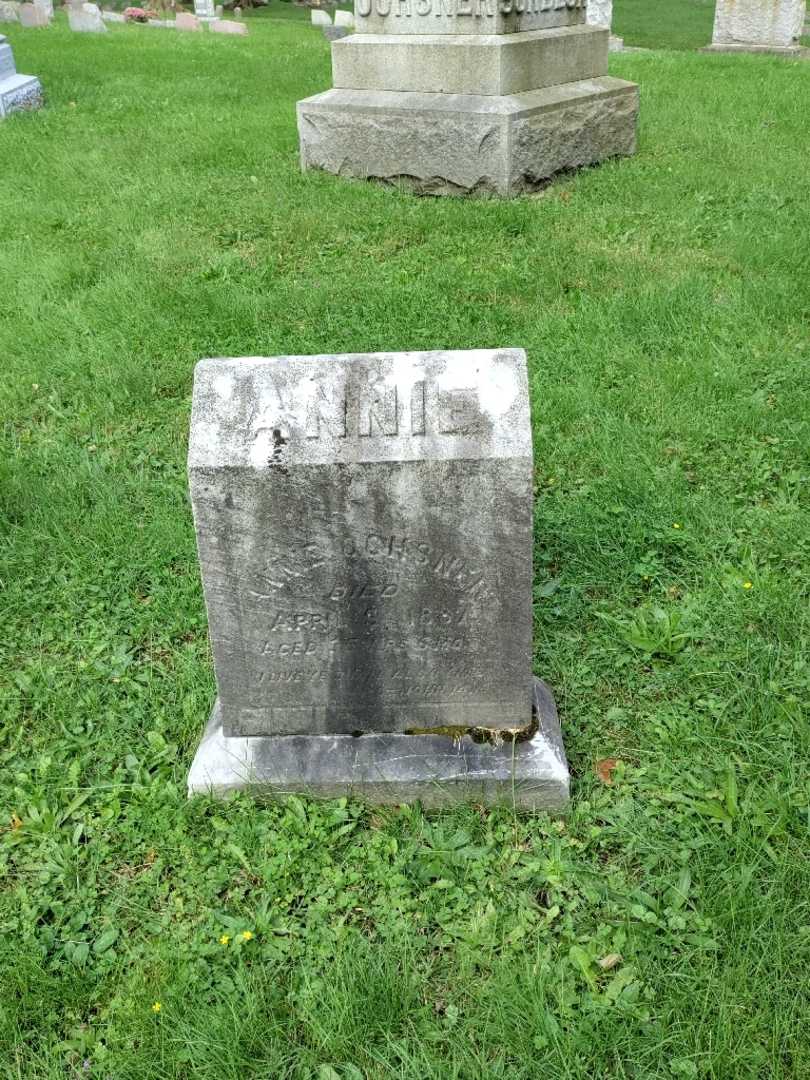 Annie Ochsner's grave. Photo 2