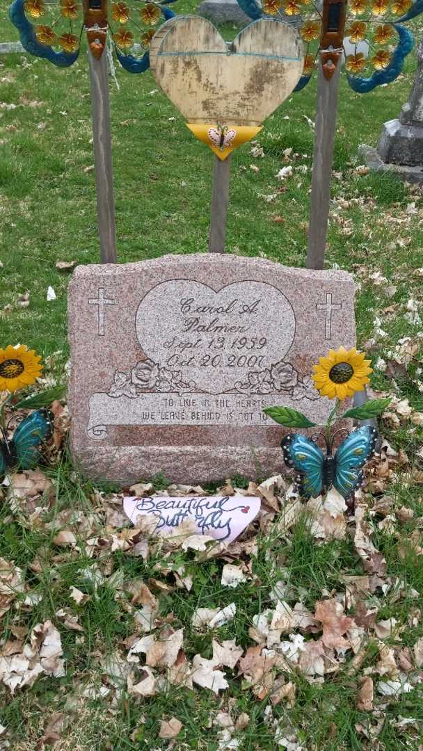 Carol A. Palmer's grave. Photo 1