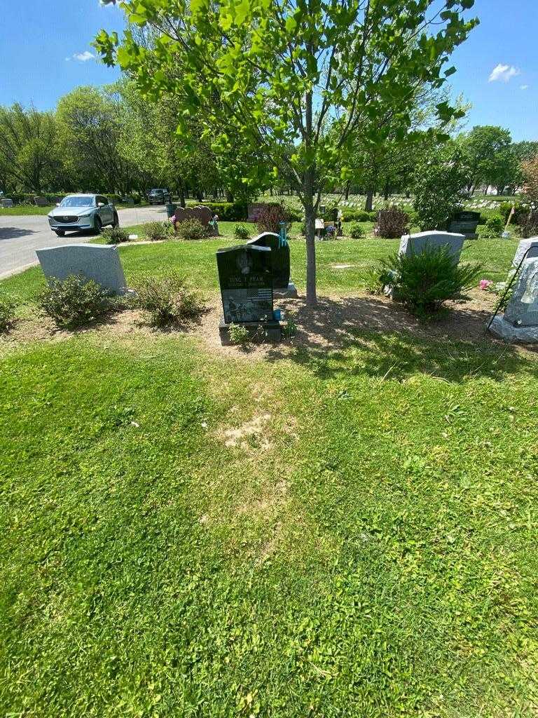 Pham T. Tung's grave. Photo 2