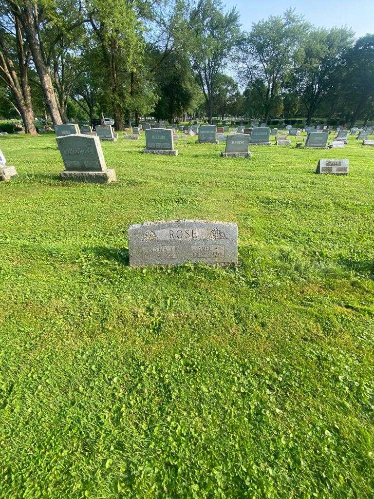 Andrew J. Rose's grave. Photo 1