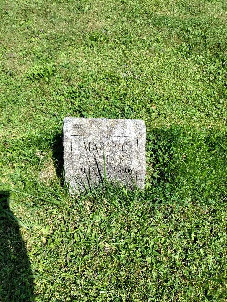 Laura Ann Casolare's grave. Photo 2