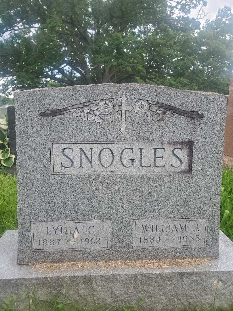 William J. Snogles's grave. Photo 3