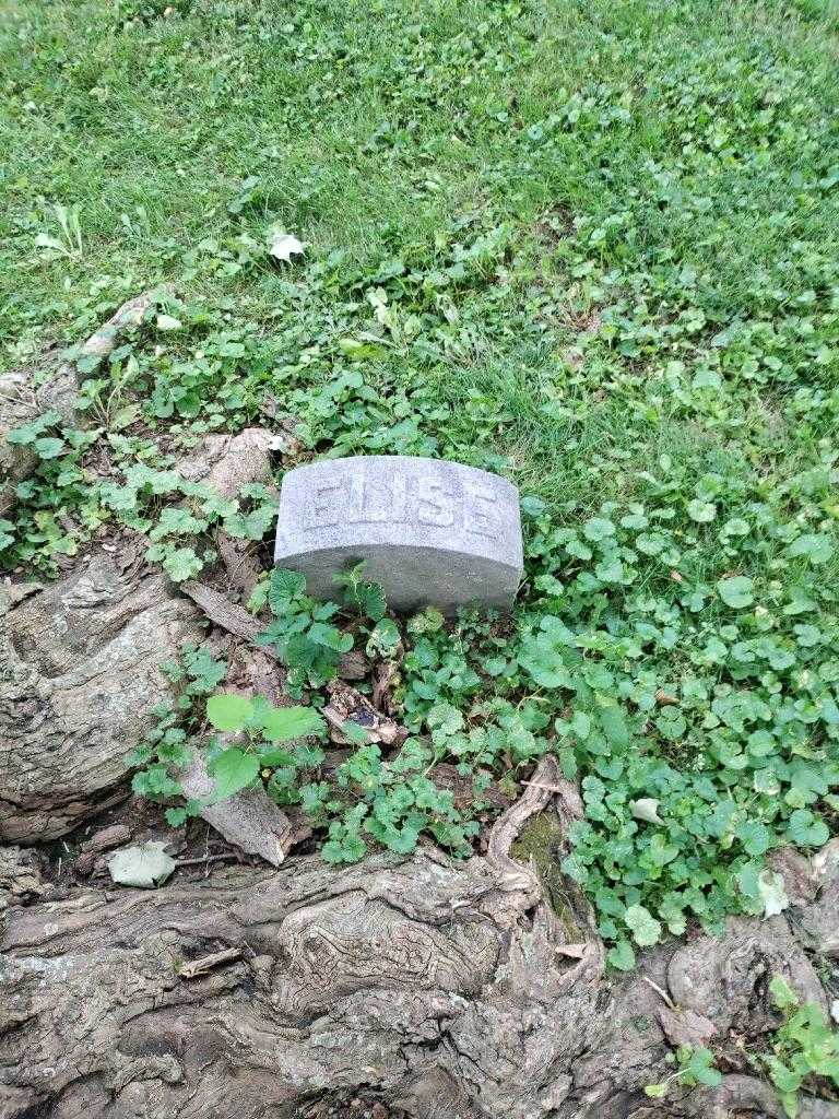 Elise Geyer's grave. Photo 2