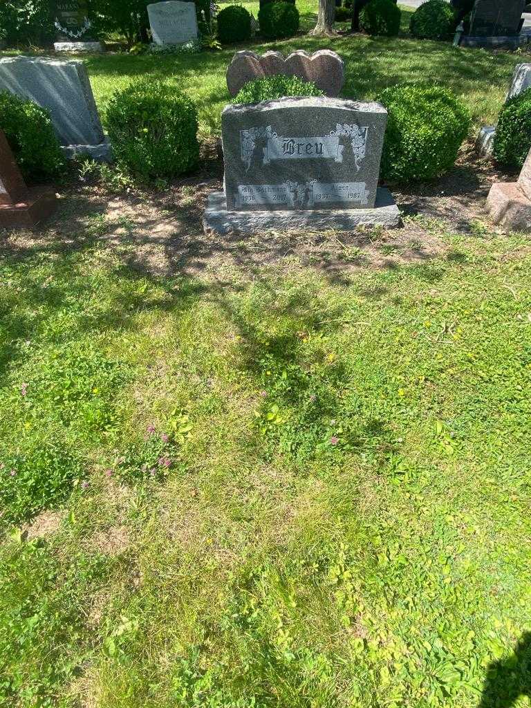 Alwin Breu's grave. Photo 1