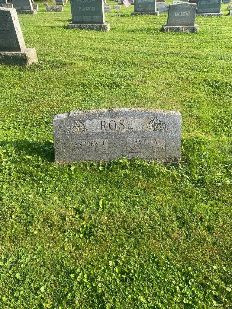 Andrew J. Rose's grave. Photo 2