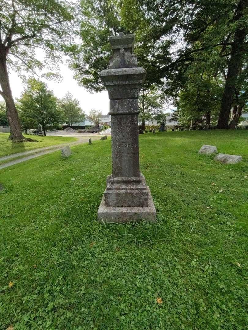 Jacob J. Labadie's grave. Photo 1