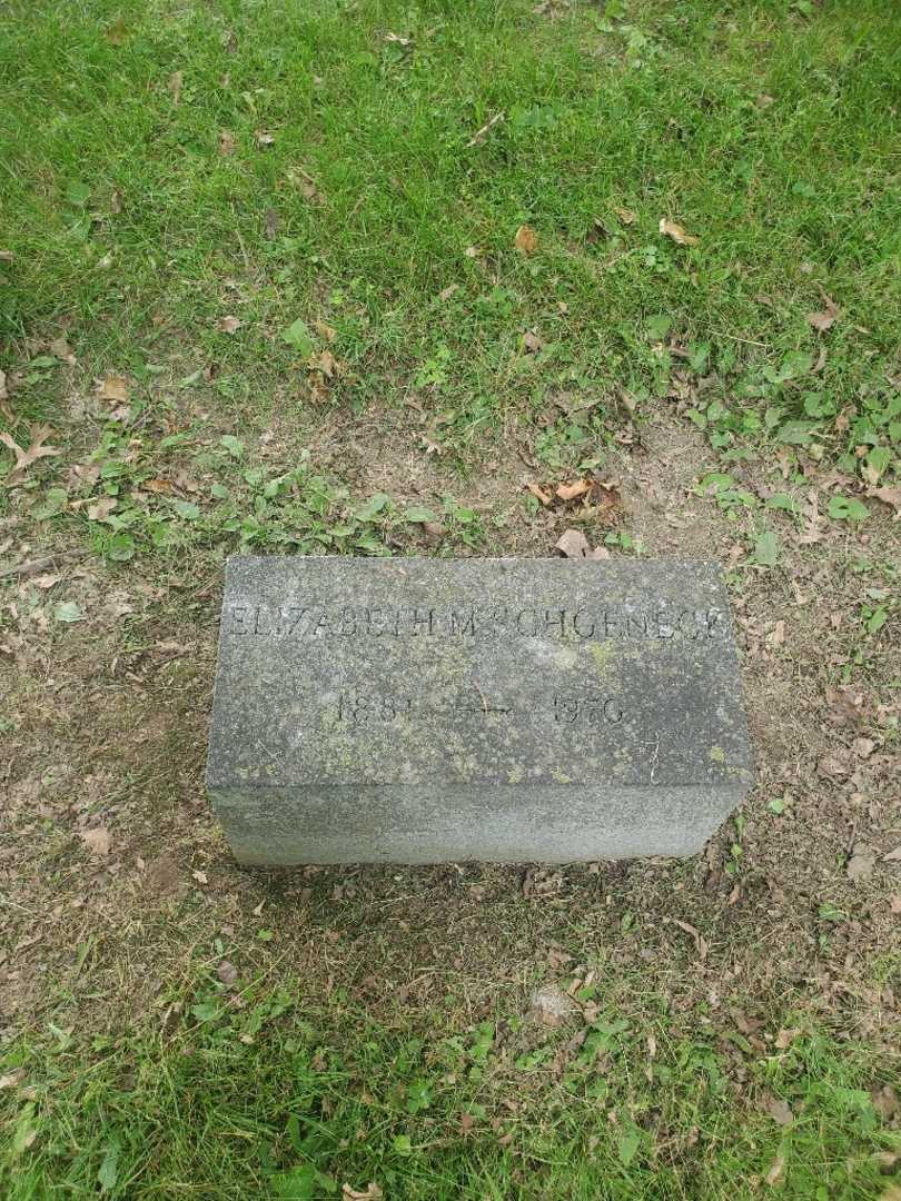 Elizabeth M. Schoeneck's grave. Photo 2