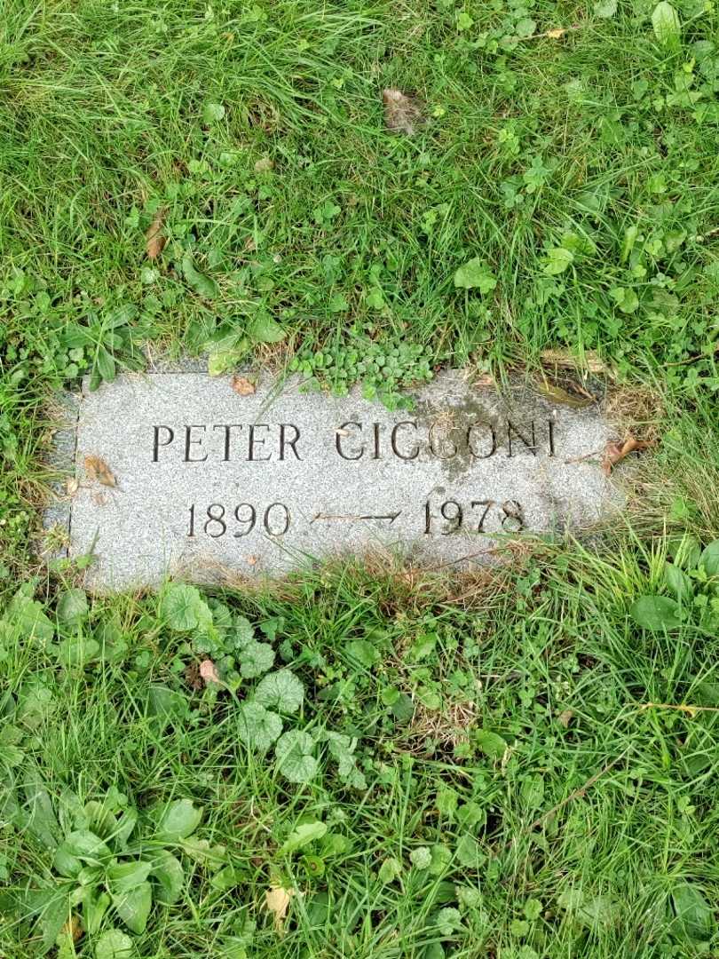 Peter Cicconi's grave. Photo 3
