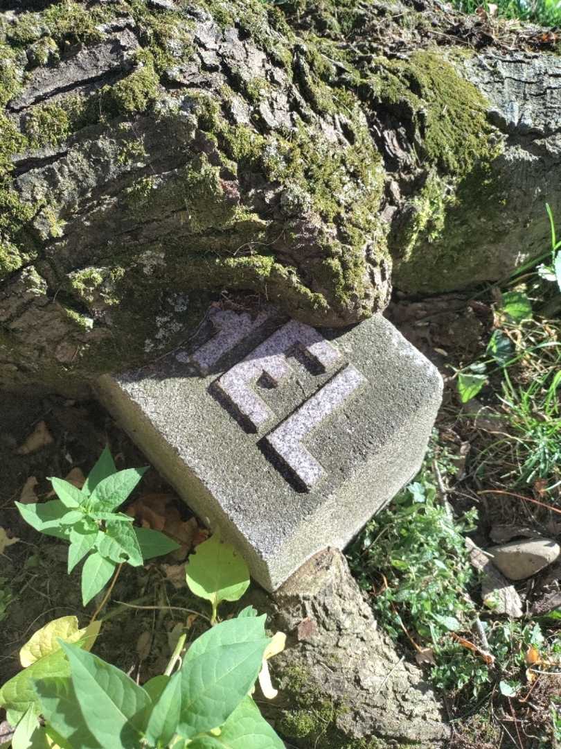 Rachel Schuck's grave. Photo 4