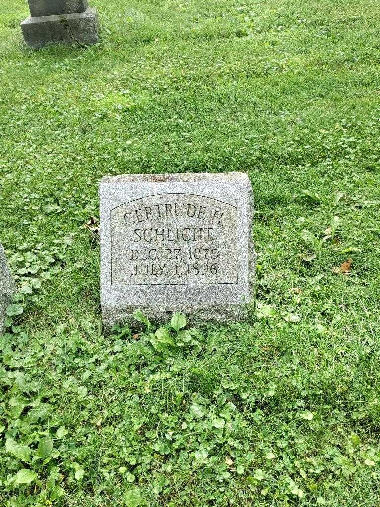 Gertrude H. Schlicht's grave. Photo 3