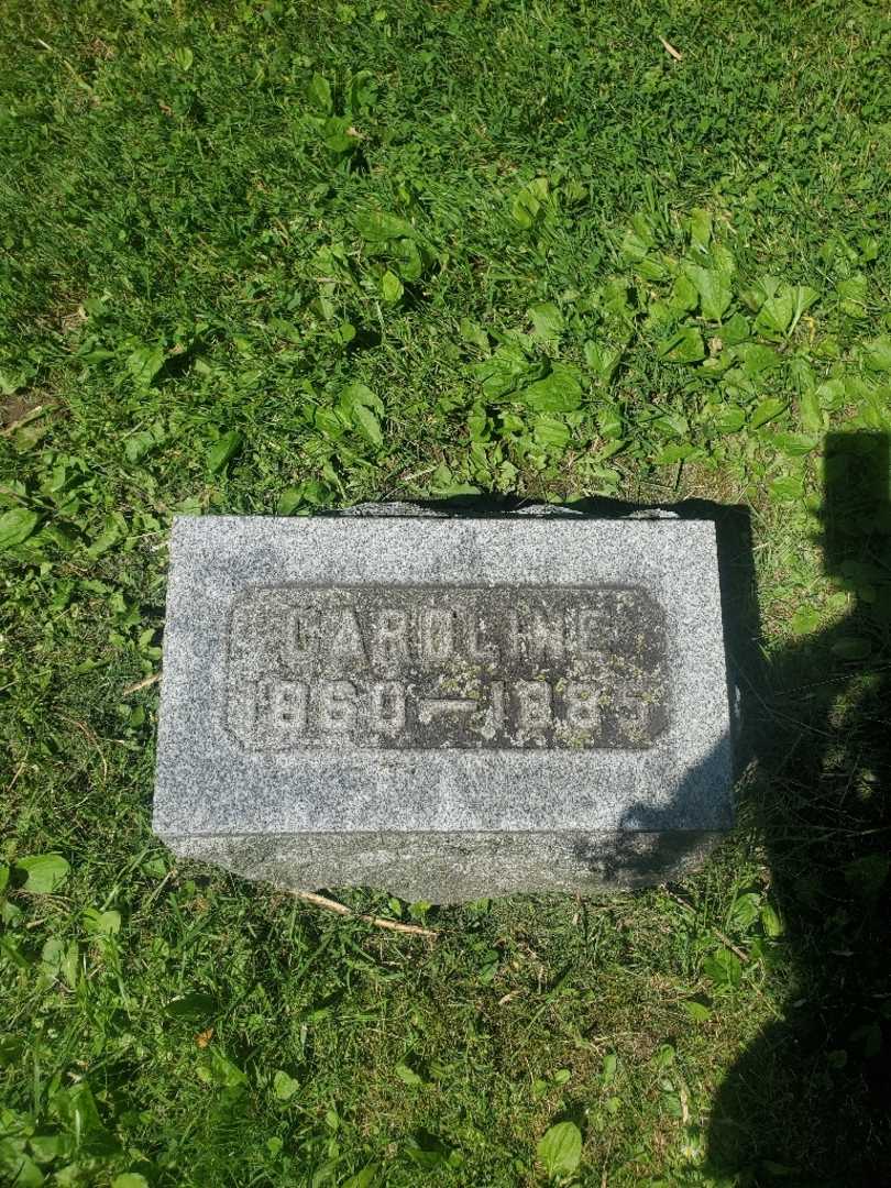 Amelia D. Reichert's grave. Photo 1