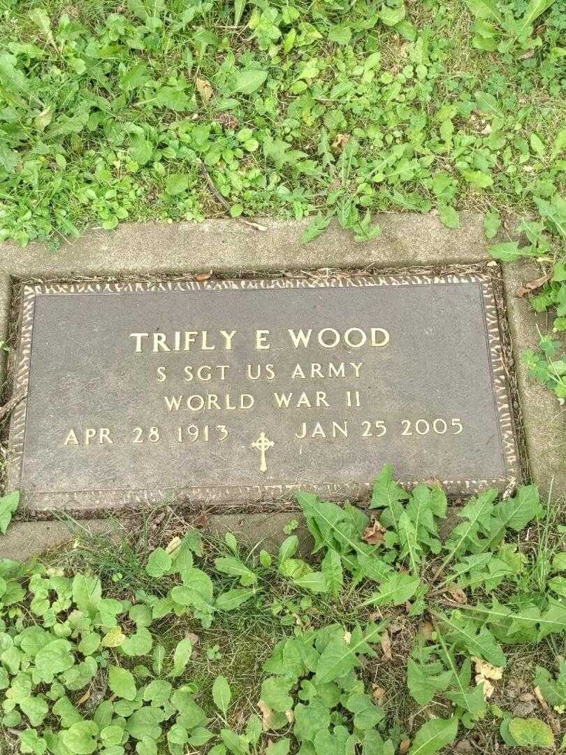 Trifly E. Wood's grave. Photo 3