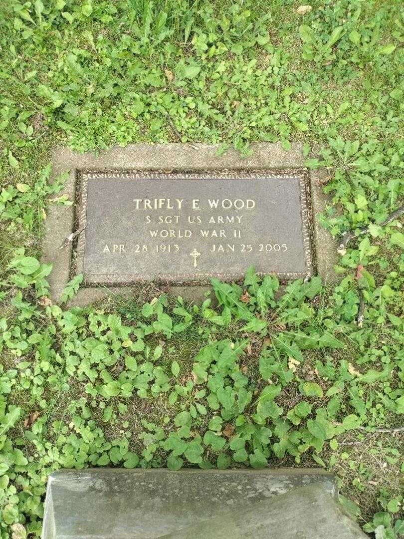 Trifly E. Wood's grave. Photo 2