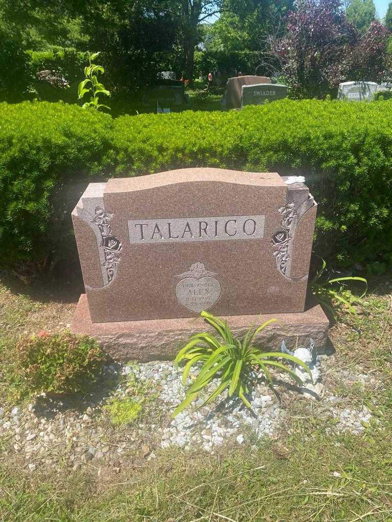 Alex Talarico's grave. Photo 2