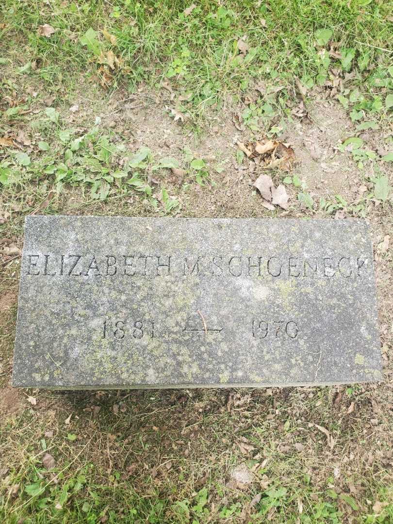 Elizabeth M. Schoeneck's grave. Photo 3