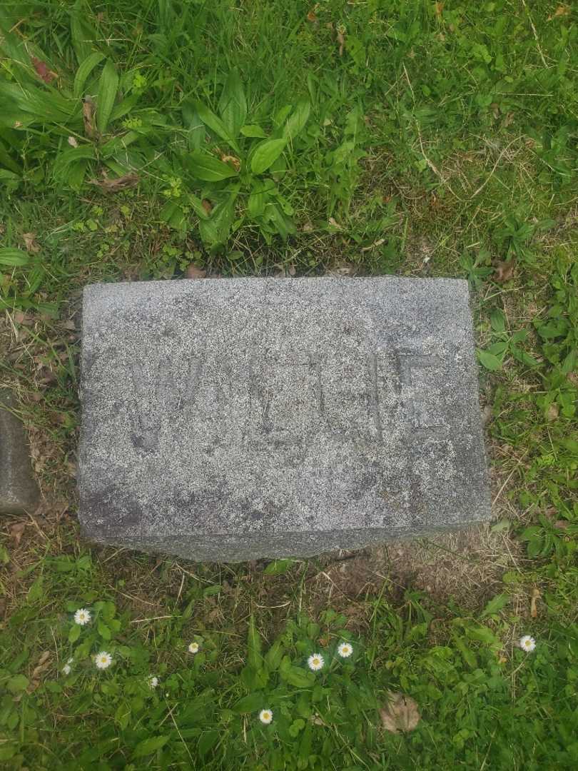 George R. Sauter's grave. Photo 1