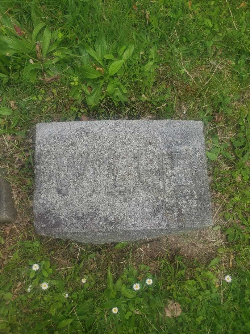 Infant Sauter's grave