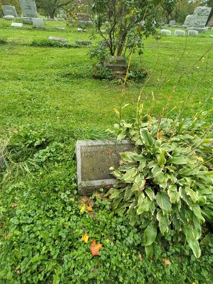 Lillian G. Rathbun Ellis's grave. Photo 1