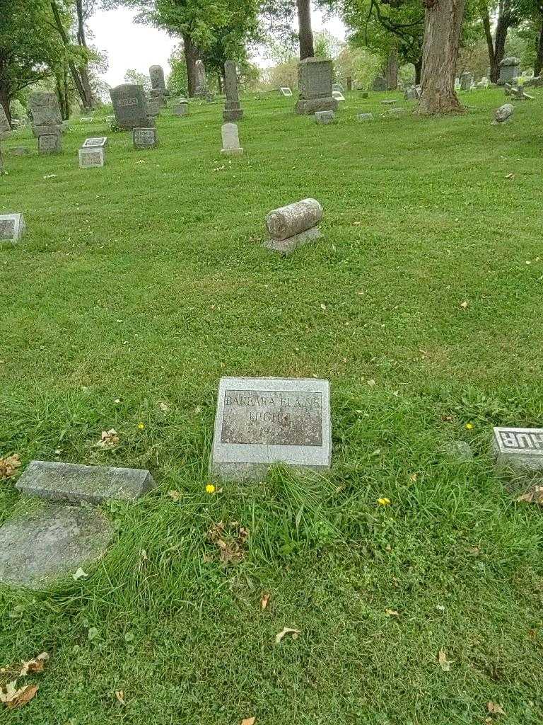 Barbara Elaine Michel's grave. Photo 1