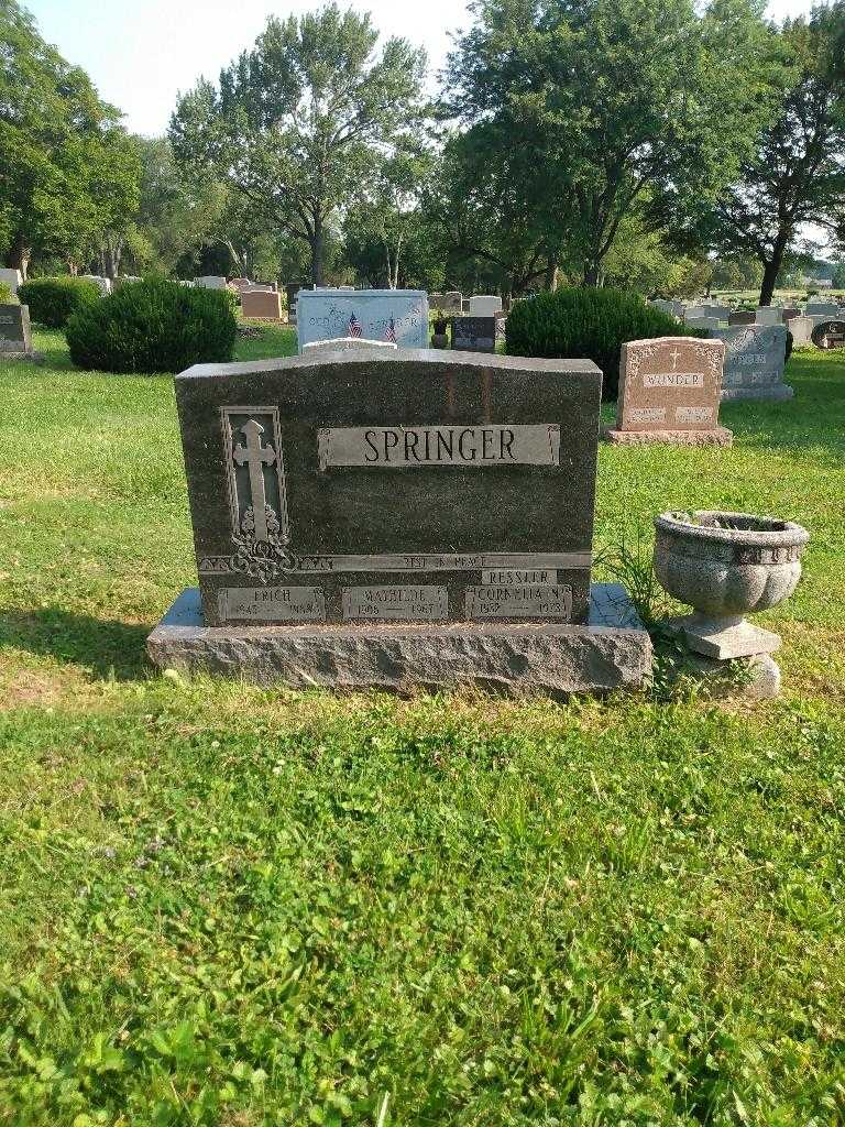 Mathilde Springer's grave. Photo 1