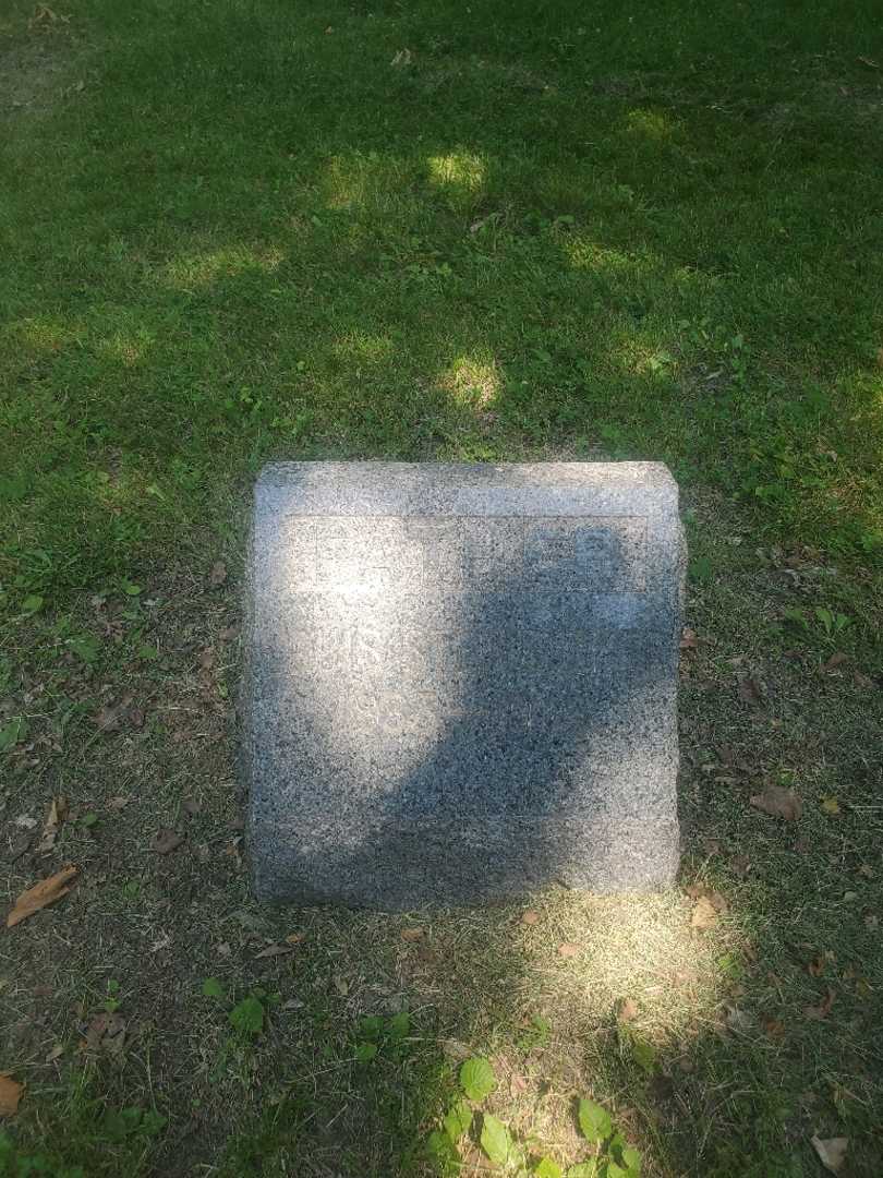 Louis Steinbicker's grave. Photo 2