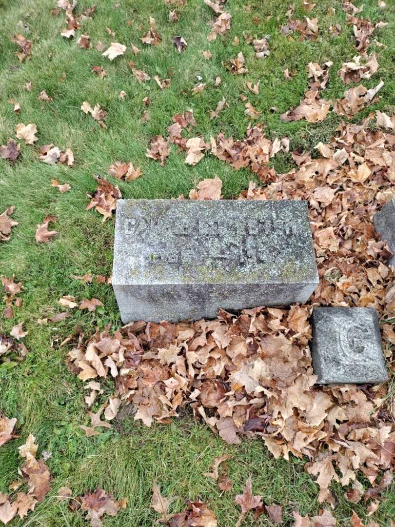 Carrie Goldstein's grave. Photo 2