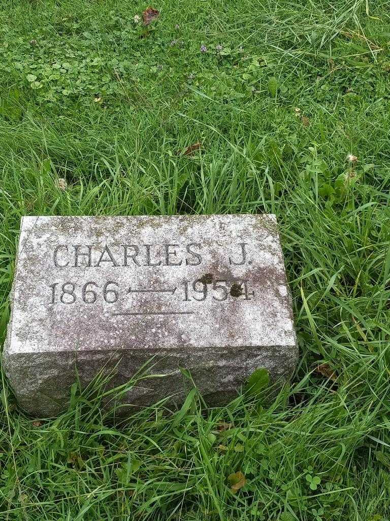 Charles J. Landphier's grave. Photo 3