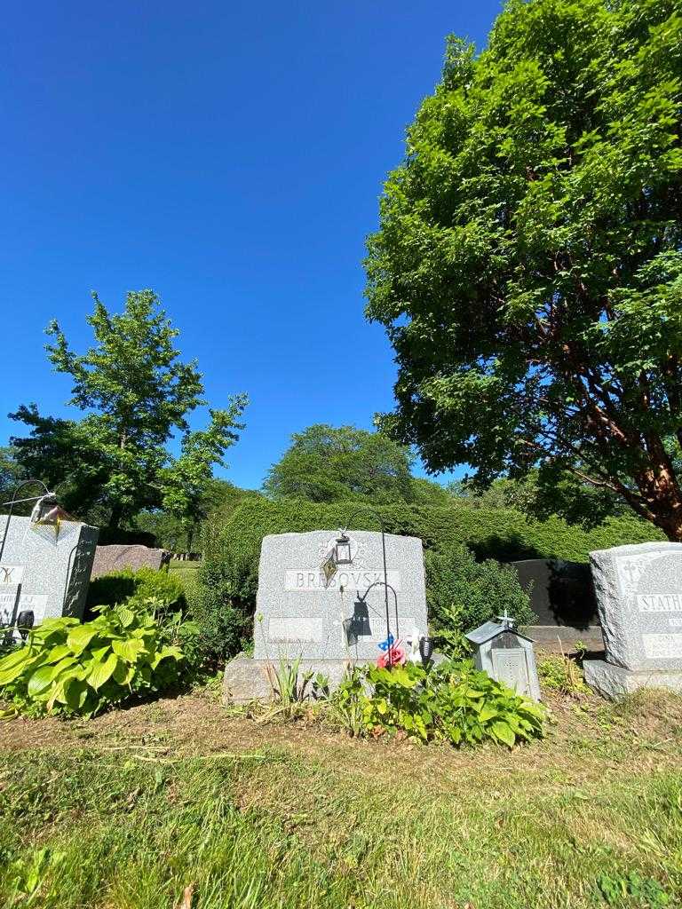 Tomislav Bresovski's grave. Photo 1