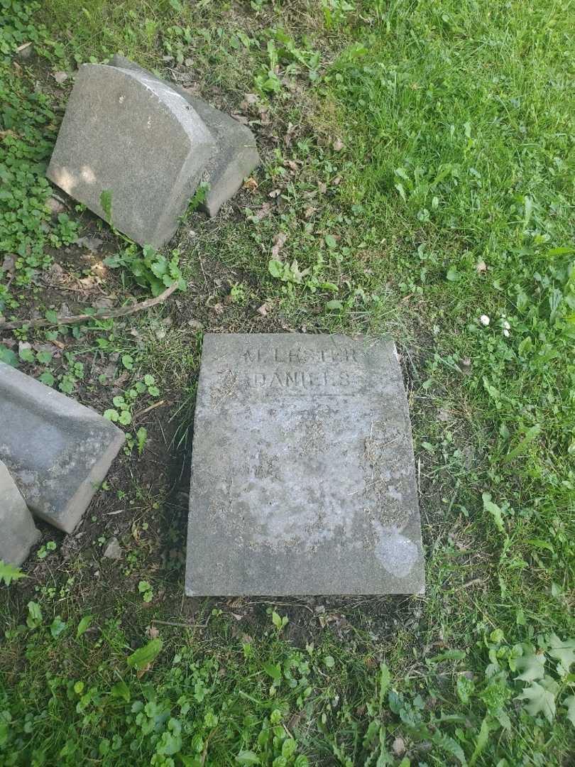 Melvin Lester Daniels's grave. Photo 5