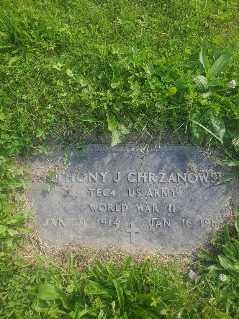 Anthony J. Chrzanowski's grave. Photo 4