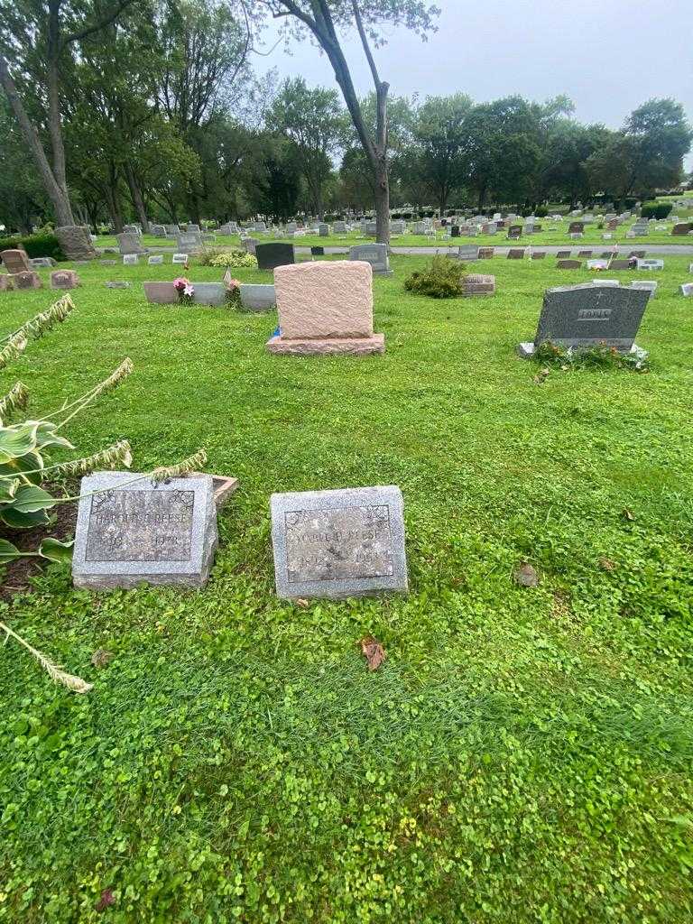 Mabel H. Reese's grave. Photo 1