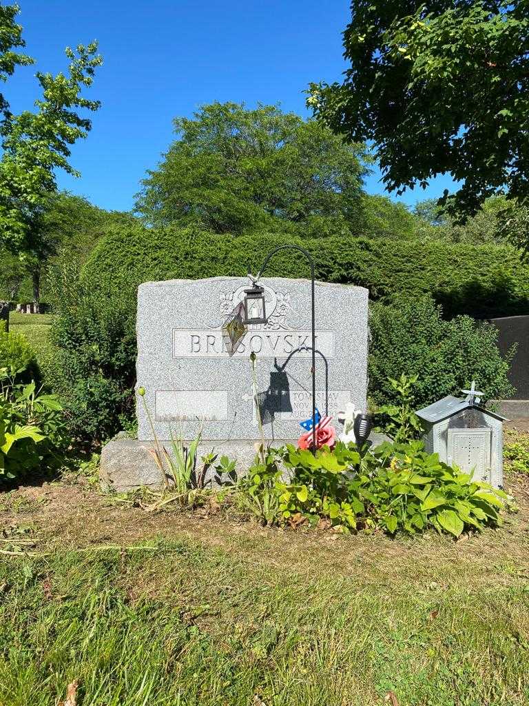 Tomislav Bresovski's grave. Photo 2