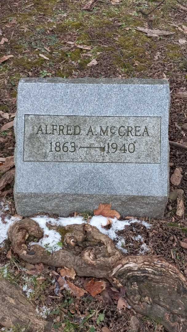 Alfred A. Mccrea's grave. Photo 4
