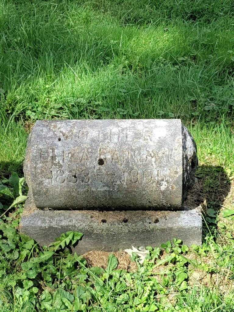Eliza Rainbow's grave. Photo 3