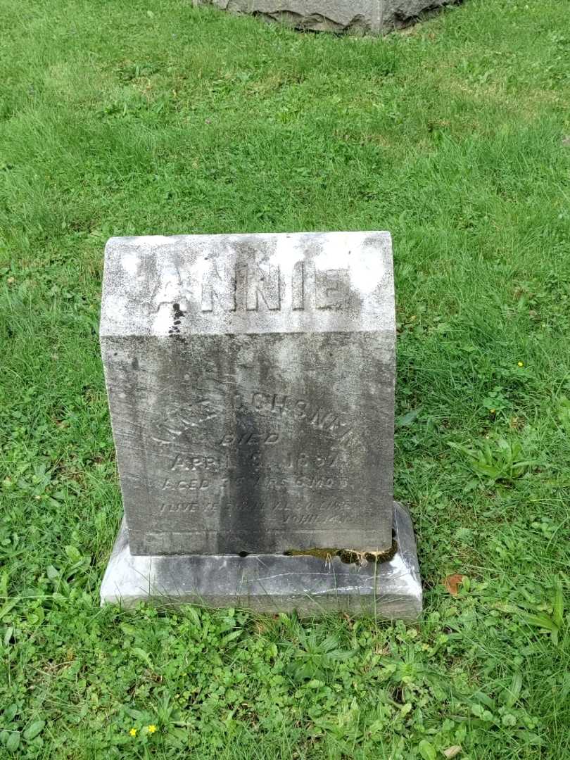 Annie Ochsner's grave. Photo 3